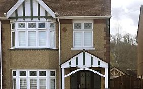 107 Netherhampton Road
